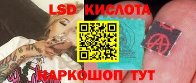 прущие грибы Дубна