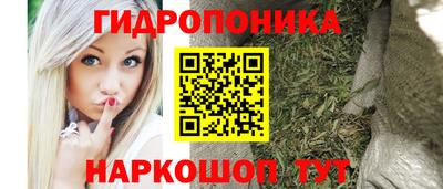 прущие грибы Дубна