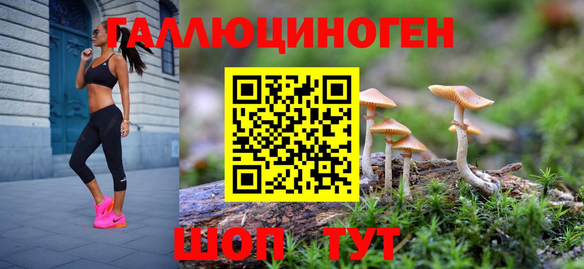 Псилоцибиновые грибы Magic Shrooms  Вход с VPN  Балашов  Псилоцибиновые грибы GOLDEN TEACHER 